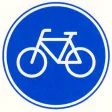 Mandatory bicycle path, cyclists must ride here.