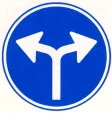 Mandatory to follow one of the indicated directions, for example, turning left or right.